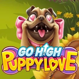 Go High Puppy Love logo by RubyPlay at Rodeo Casino