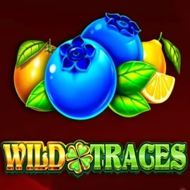 Play the Wild Traces slot by Amusnet Interactive on Rodeo Casino
